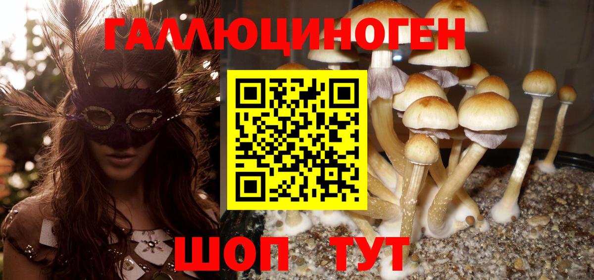 дарнет шоп  Галлюциногенные грибы MAGIC MUSHROOMS  Вход с VPN  Сочи 